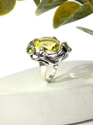 3173-нат А+-434_1