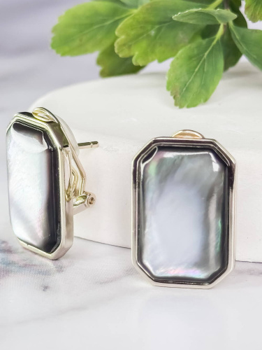 PI-E04250-X-L-PNB-X-X