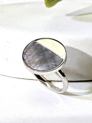 PI-R03231-X-W-PNB-X-X_2